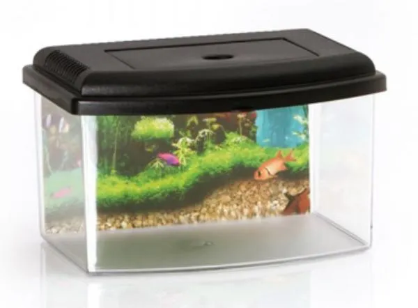 Георпласт Аквариум with lid