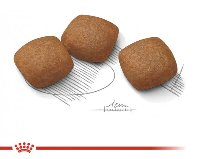 Корм Royal Canin Maxi Joint Care для собак