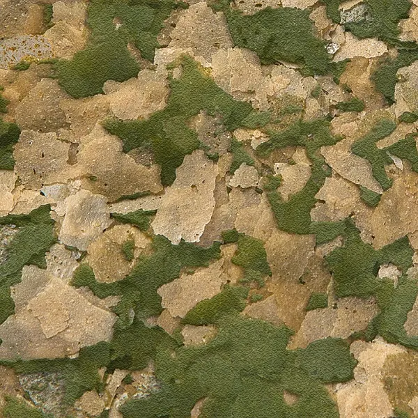 Sera Корм хлопья крупные для крупных рыб "Vipan Nature Large Flakes"