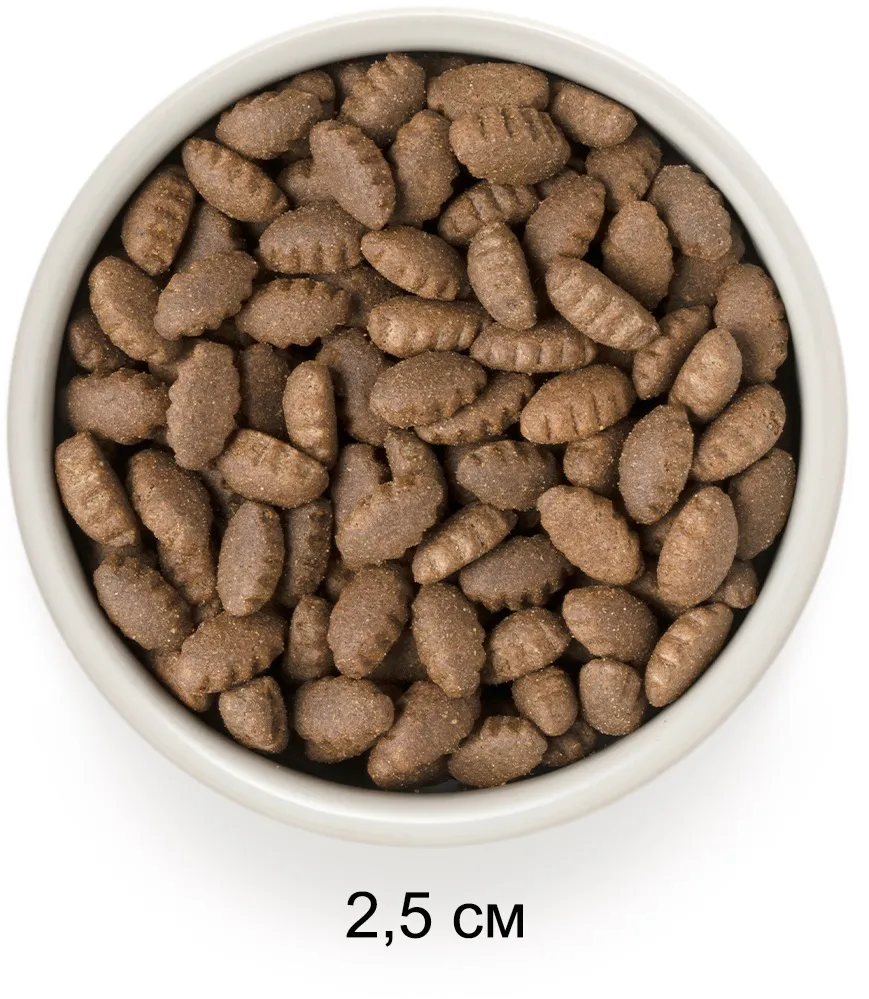 Grandorf Adult Maxi Breeds (Индейка)