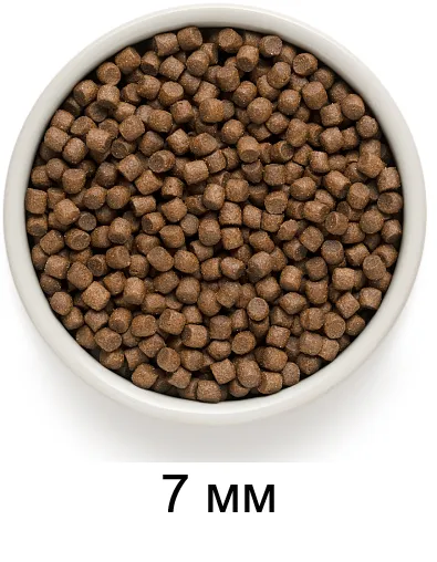 Grandorf Puppy (Ягненок и индейка)