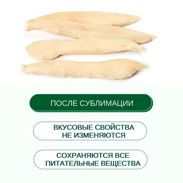 Wanpy Dog Сублимированное лакомство Утка