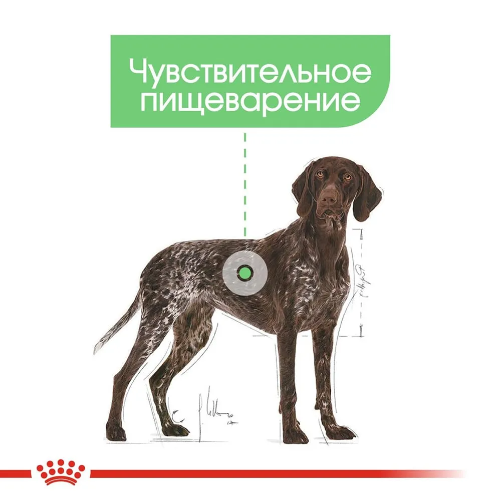 Корм Royal Canin Maxi Digestive Care для собак