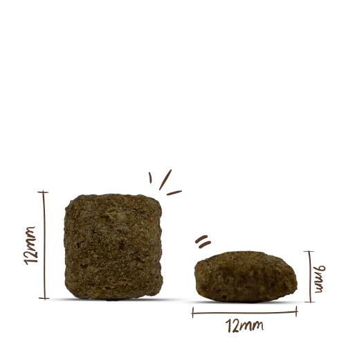 Корм Bosch My Friend+ Senior & Light Dog для собак