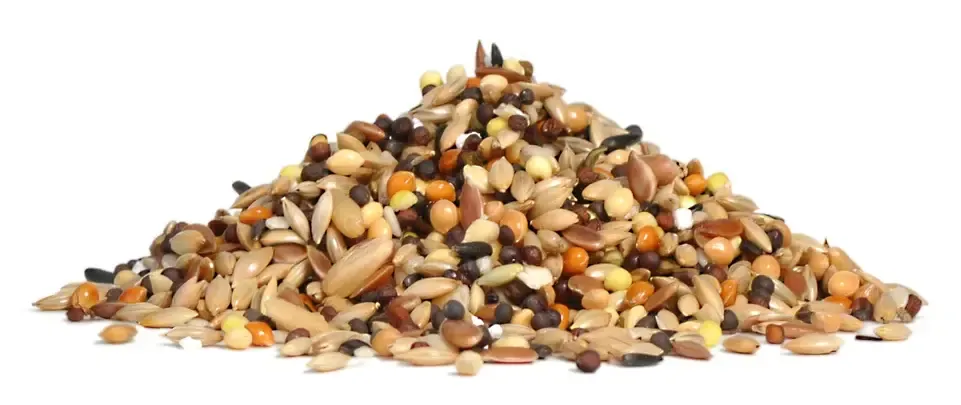 RIO Корм для канареек (линька)