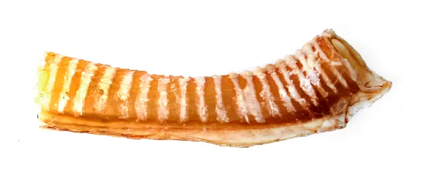 БарBOSS Трахея говяжья сушеная