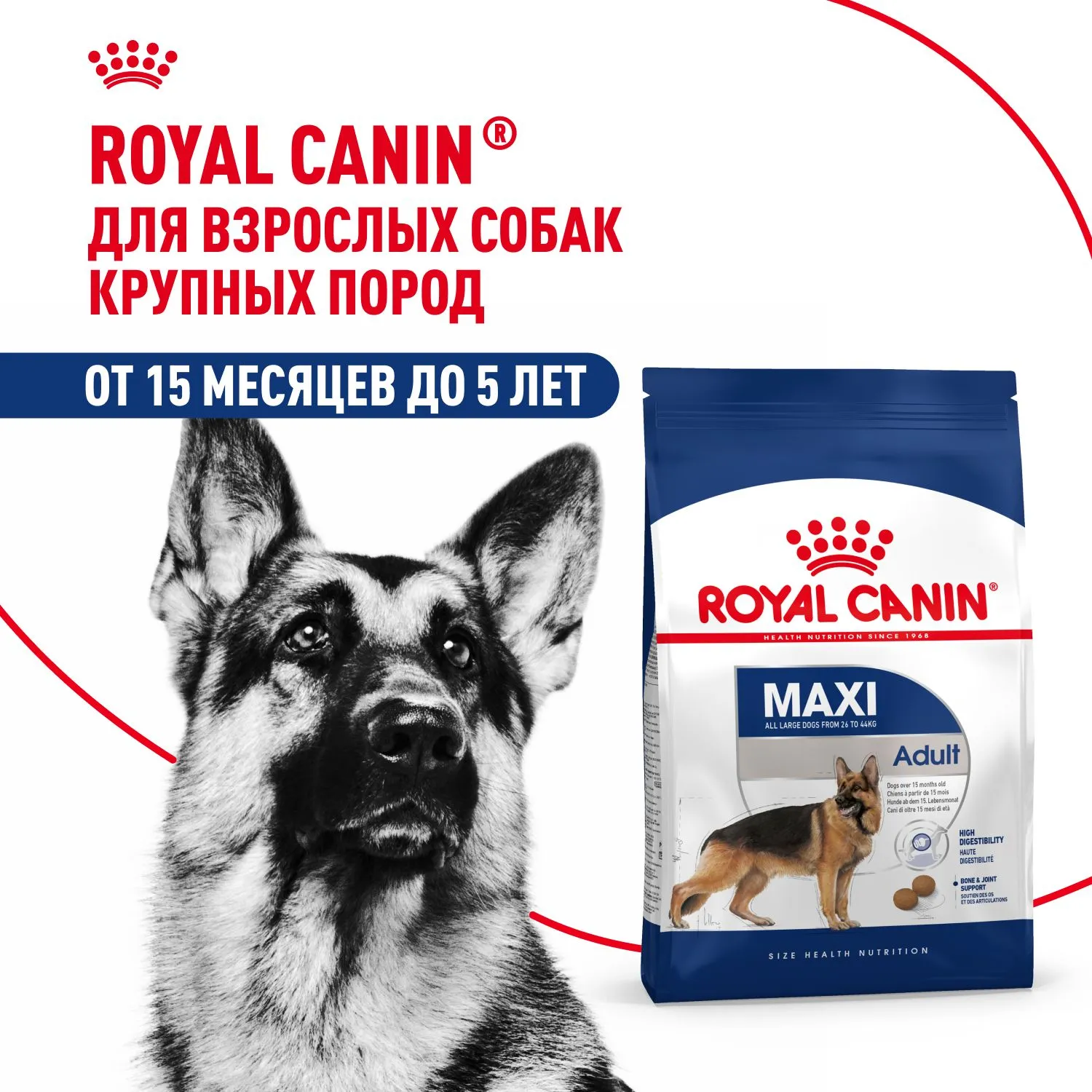 Корм Royal Canin Maxi Adult для взрослых собак крупных размеров