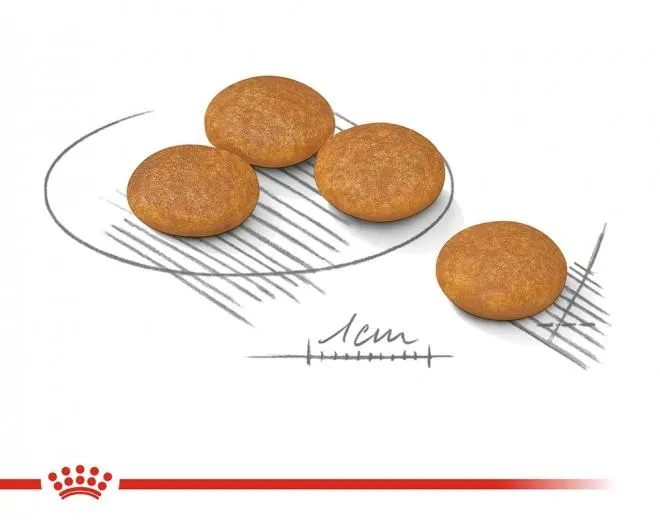 Корм Royal Canin Mini Dermacomfort для собак