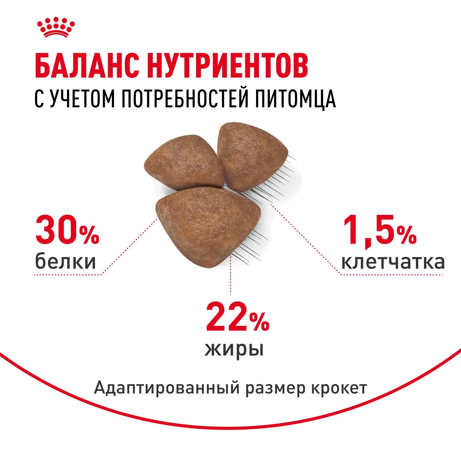 Royal Canin Mini Starter