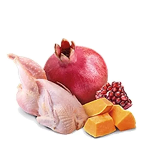 Консервы Farmina N&D Pumpkin Dog Adult Mini (Перепел, тыква)