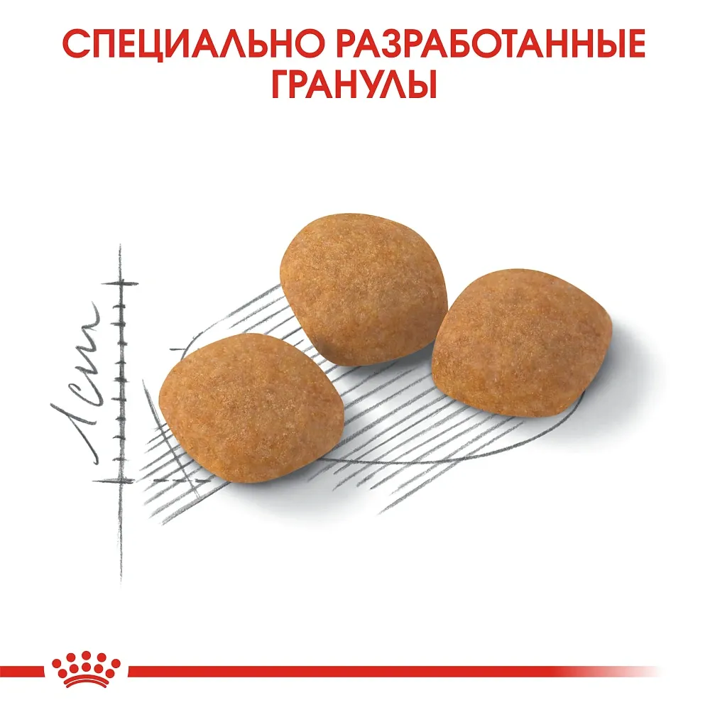 Корм Royal Canin Protein Exigent для кошек