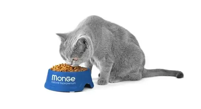 Monge VetSolution Obesity Cat диетический корм для кошек