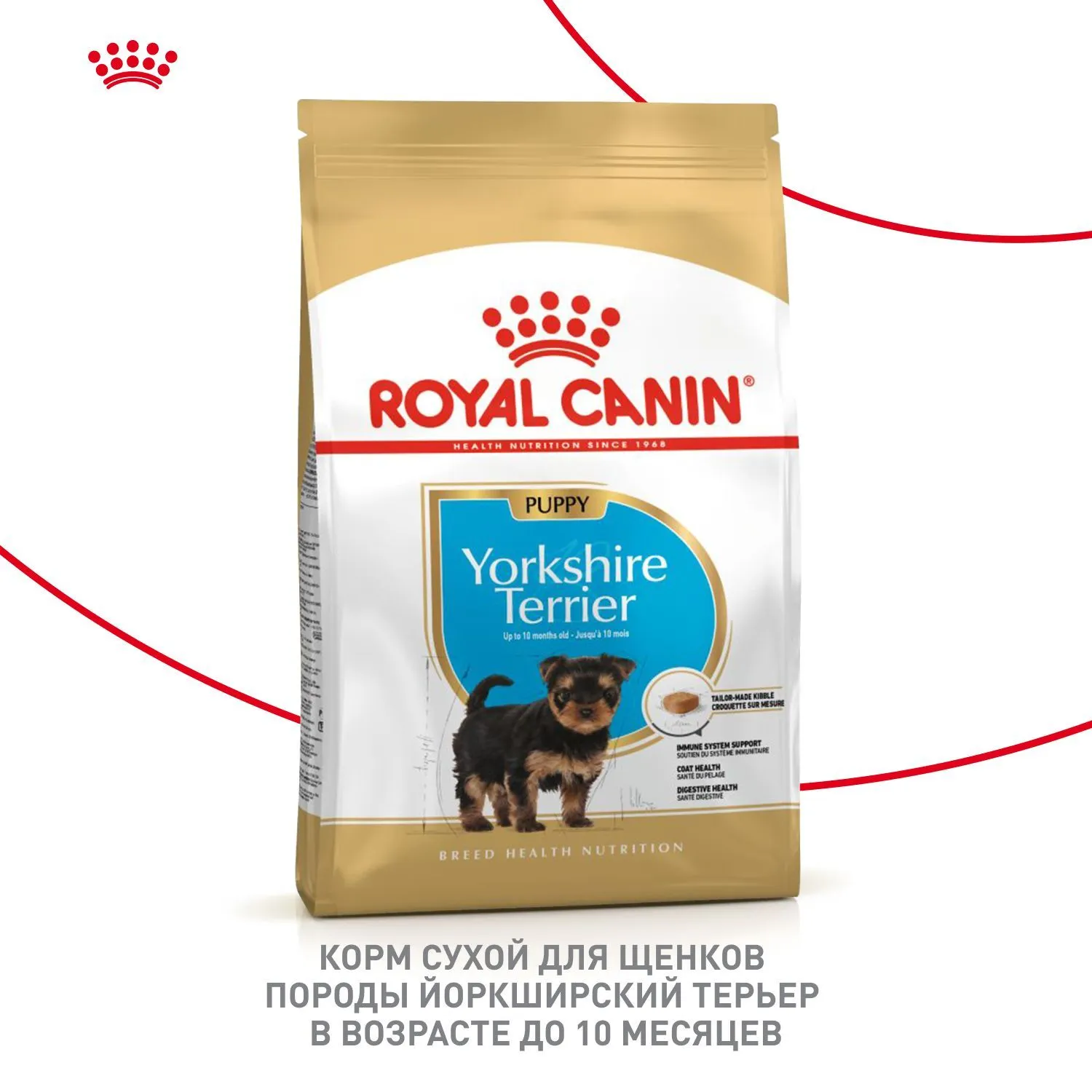 Royal Canin Yorkshire Terrier Puppy