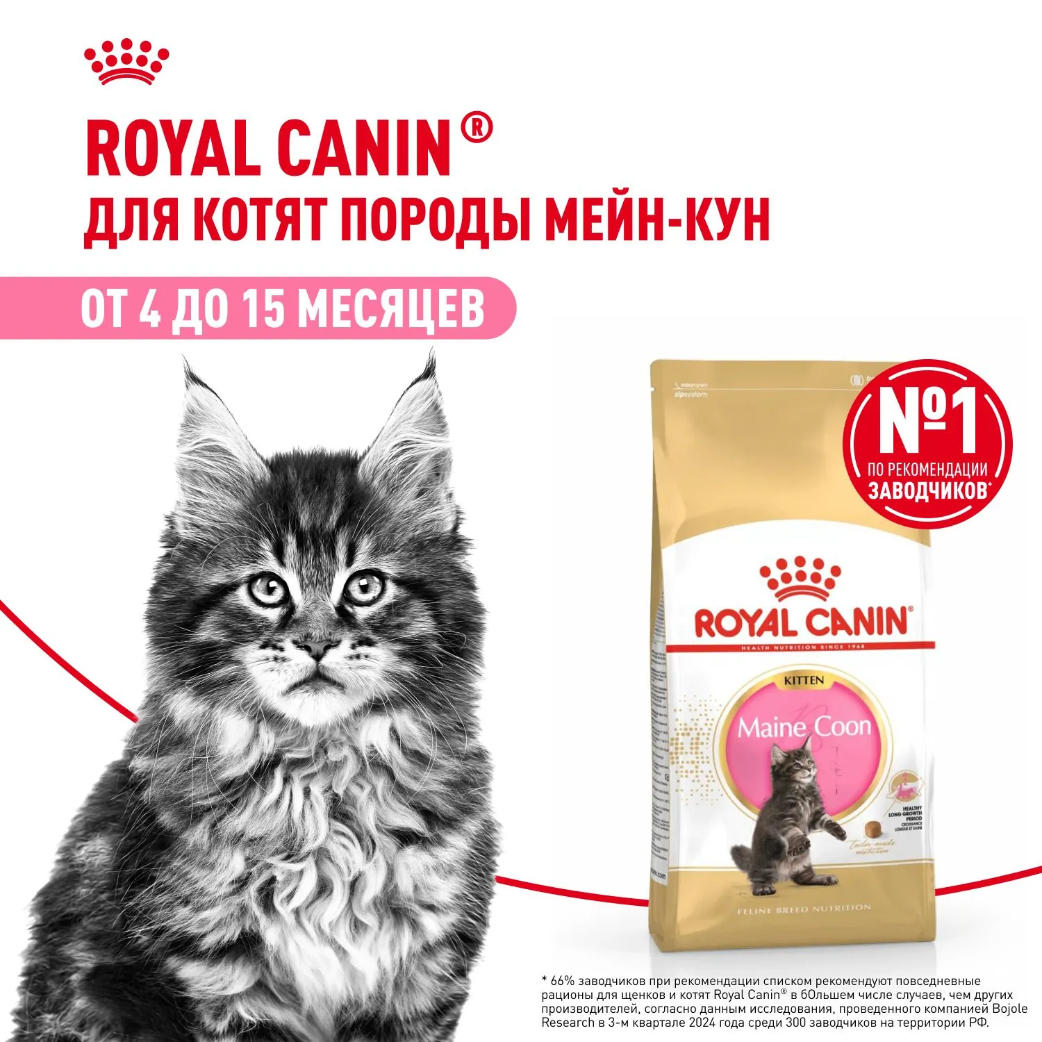 Корм Royal Canin Maine Coon Kitten для котят