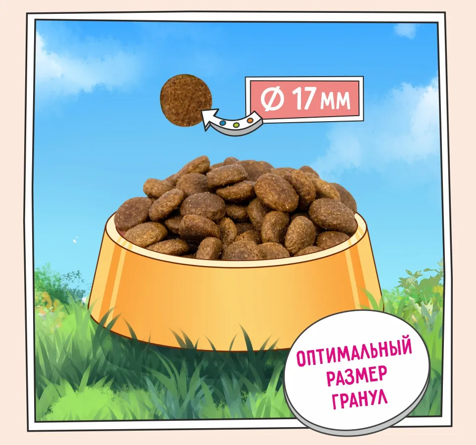 ZILLII Adult Dog (Индейка, ягненок)