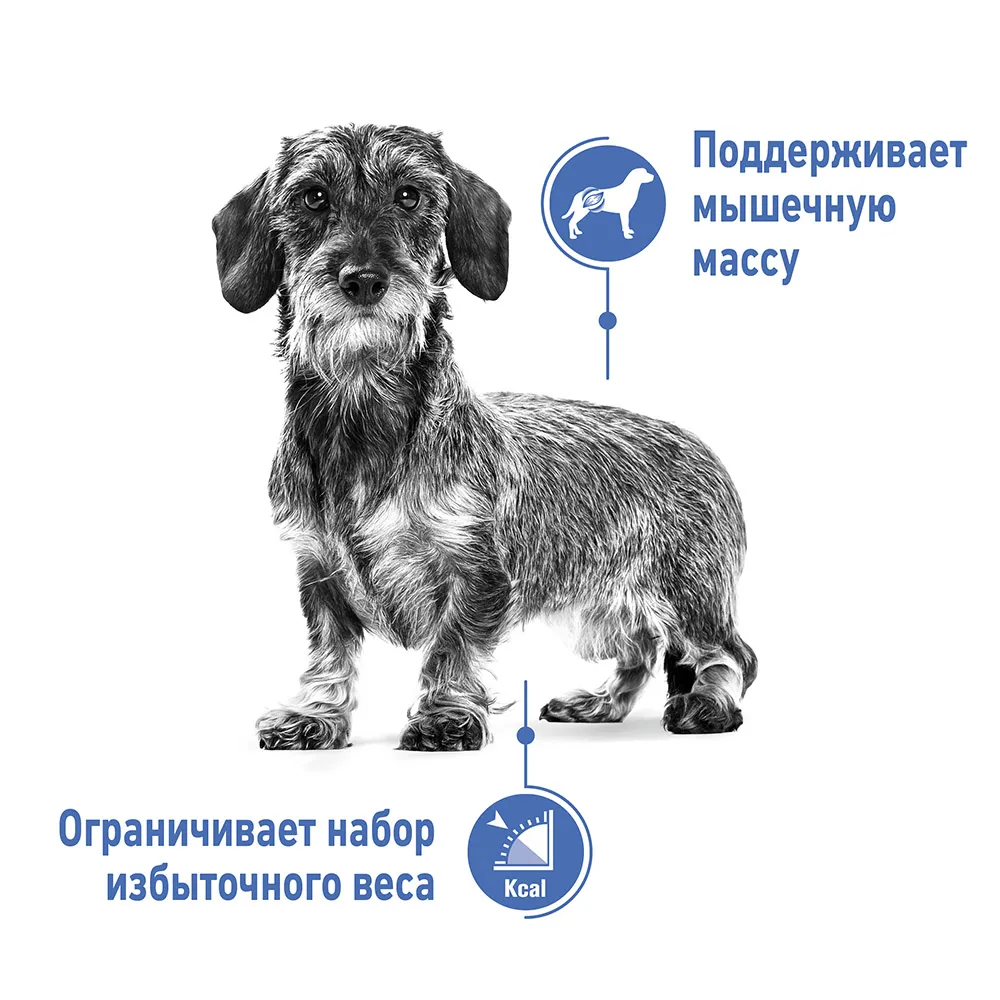 Корм Royal Canin Mini Light Weight Care для собак