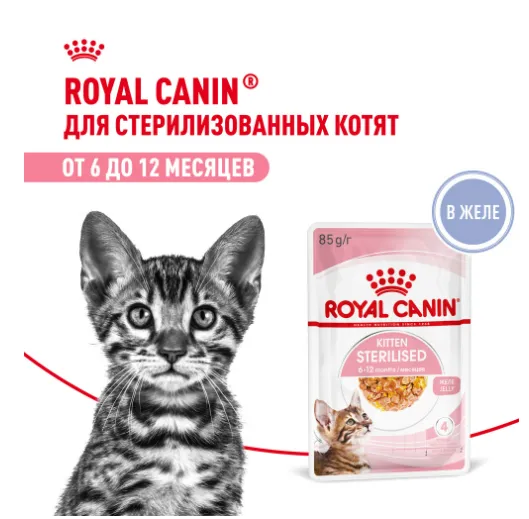 Royal Canin Kitten Sterilised (желе)