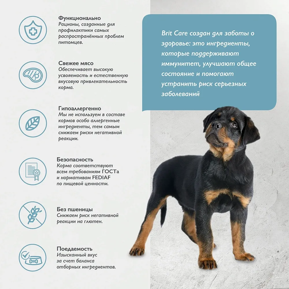 Brit Care Dog Puppy&Junior L Healthy Growth (Индейка, ягненок)