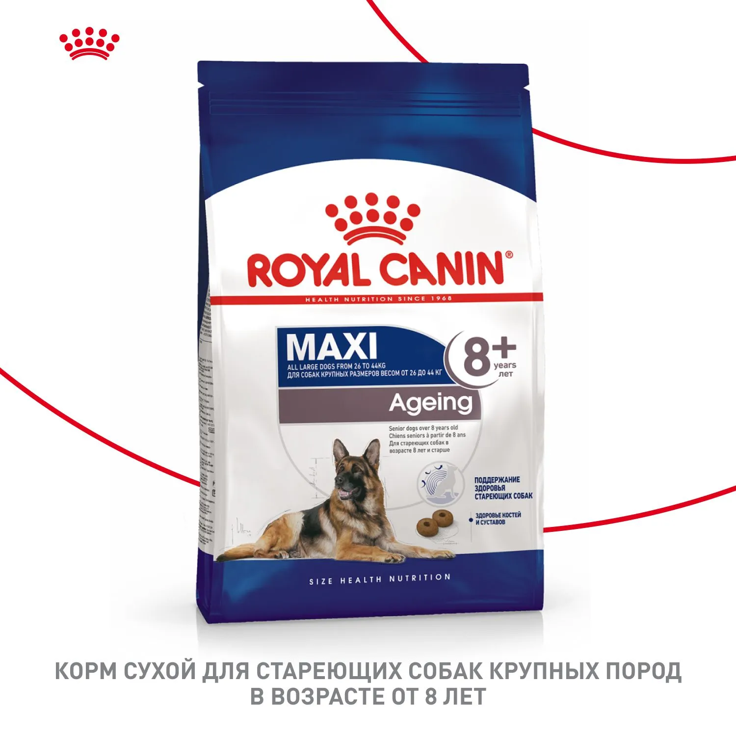 Корм Royal Canin Maxi Ageing 8+ для крупных собак в возрасте 8 лет и старше