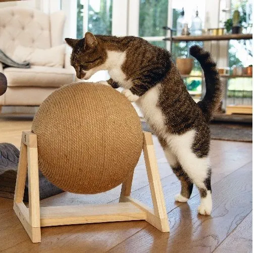 Beeztees Когтеточка ГЛОБУС на деревянных ножках