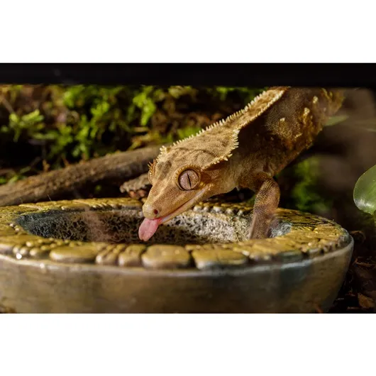 Exo Terra Кормушка-поилка Aztek