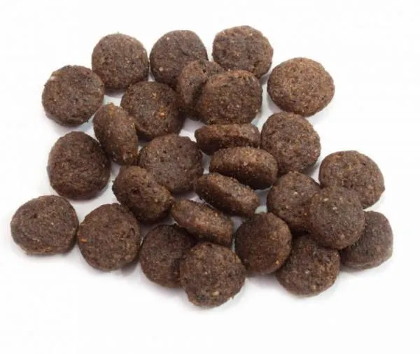 Happy Dog Mini Canada