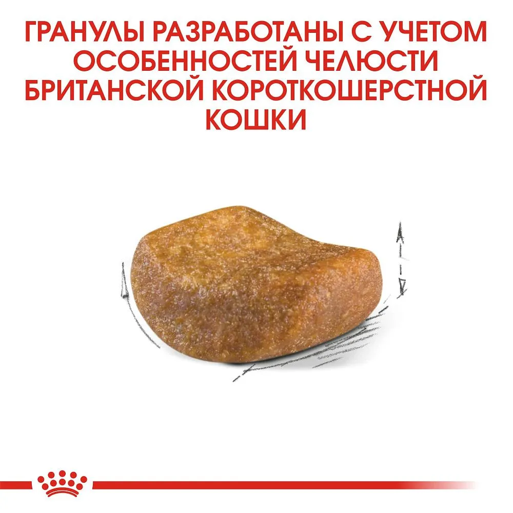 Корм Royal Canin British Shorthair Adult для кошек