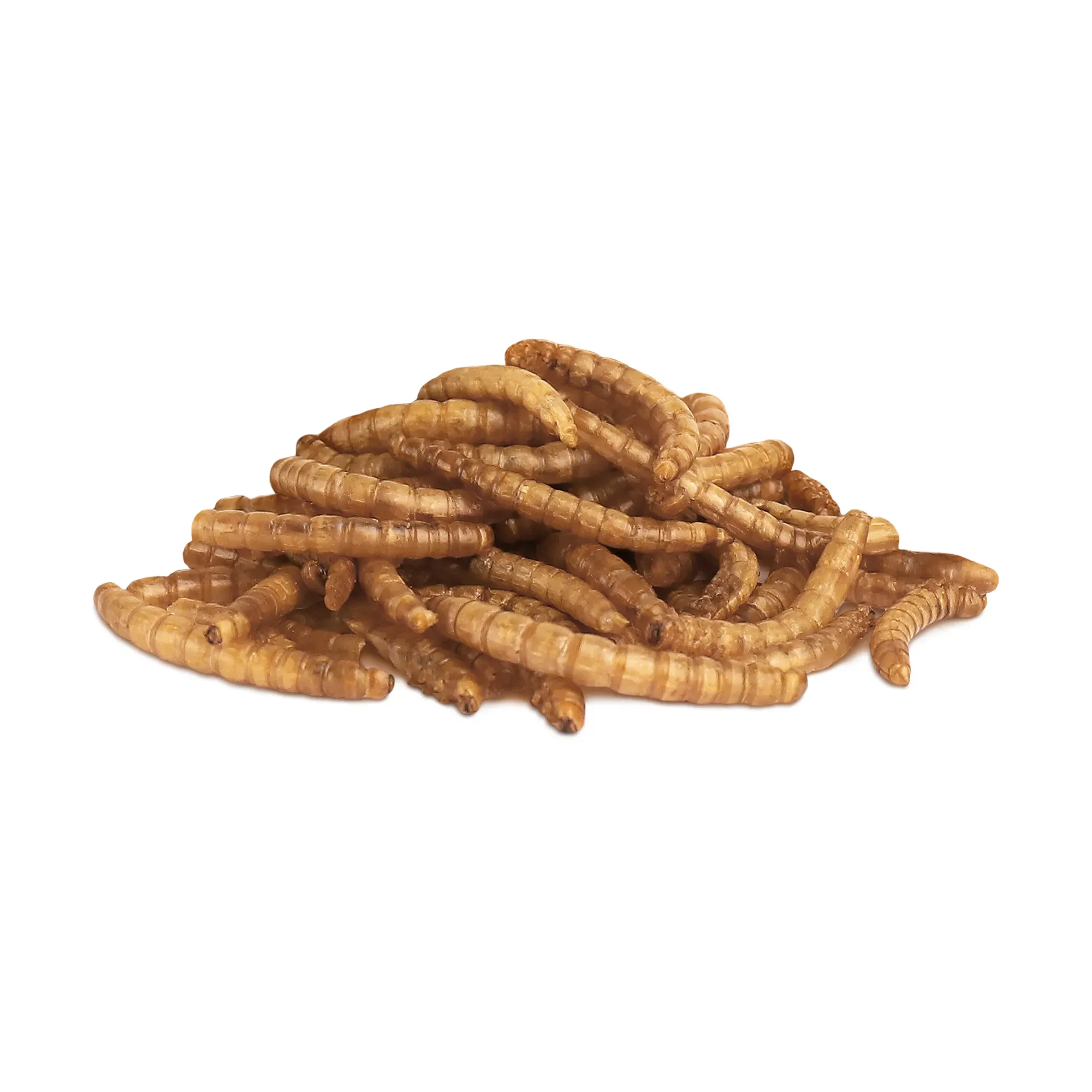 Little One Мучной червь, 70 г