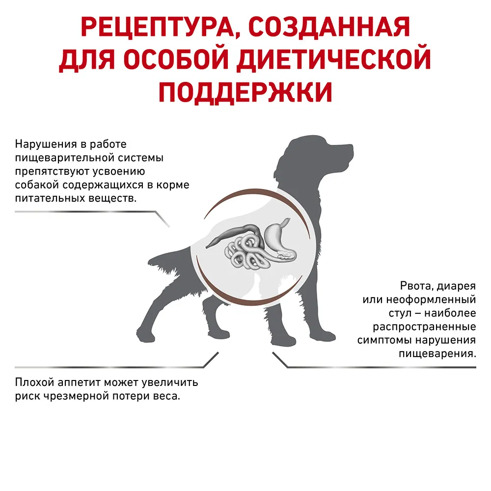 Royal Canin Gastrointestinal Dog