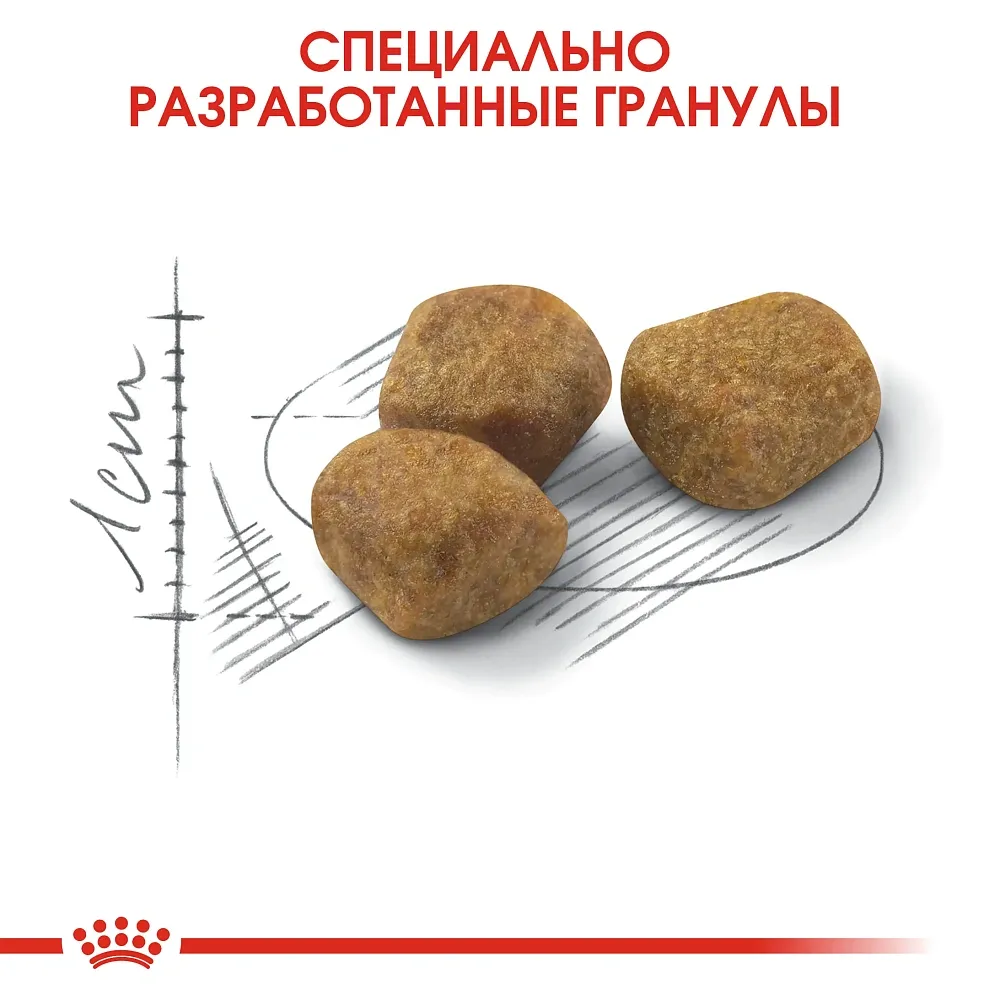 Корм Royal Canin Indoor 7+ для кошек