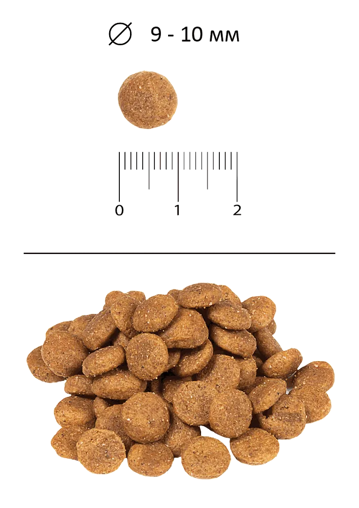 BLITZ Classic Adult Mini & Toy (Курица, рис)