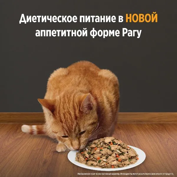 Hill's Prescription Diet k/d Рагу Влажный корм для кошек (курица)