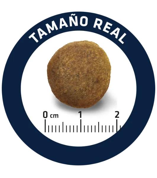 Advance Dog German Sheperd (Индейка)