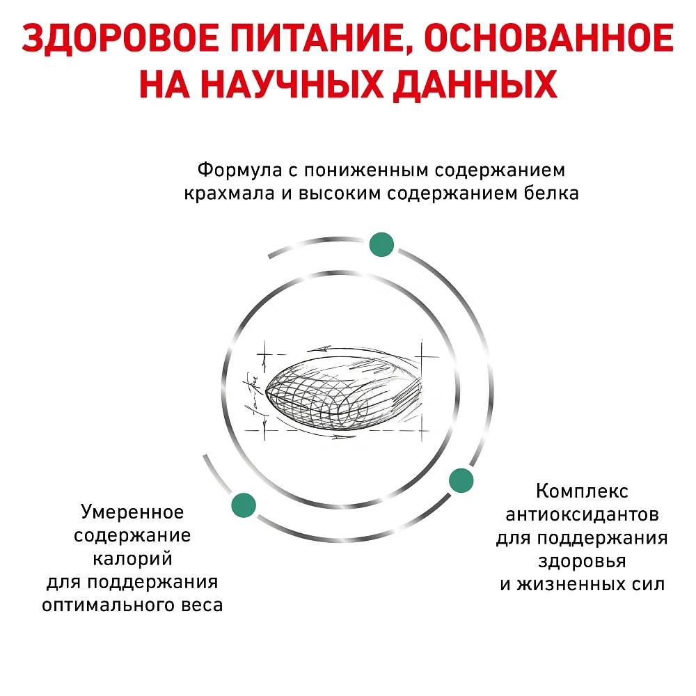 Royal Canin Diabetic Cat