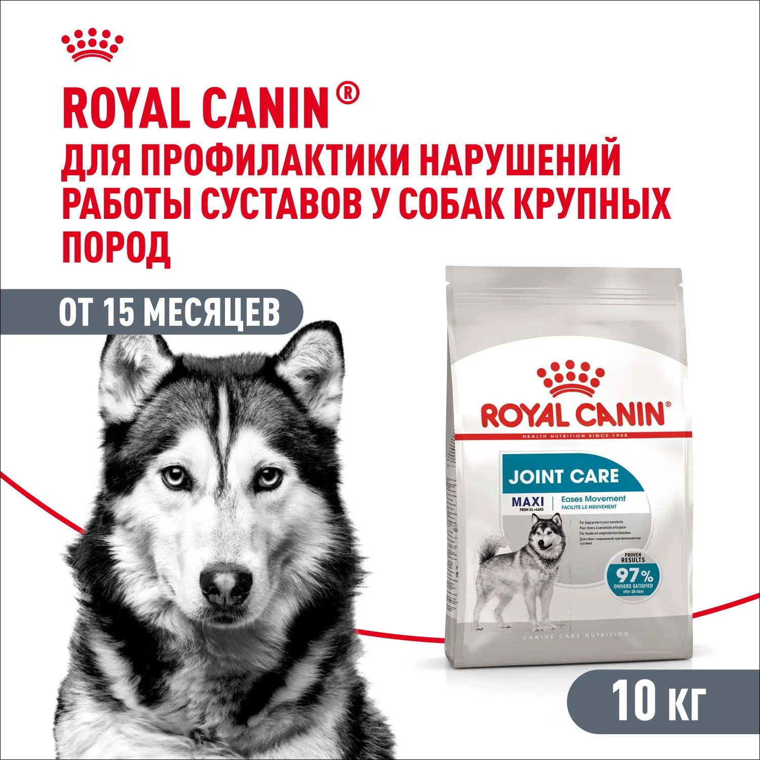 Корм Royal Canin Maxi Joint Care для собак