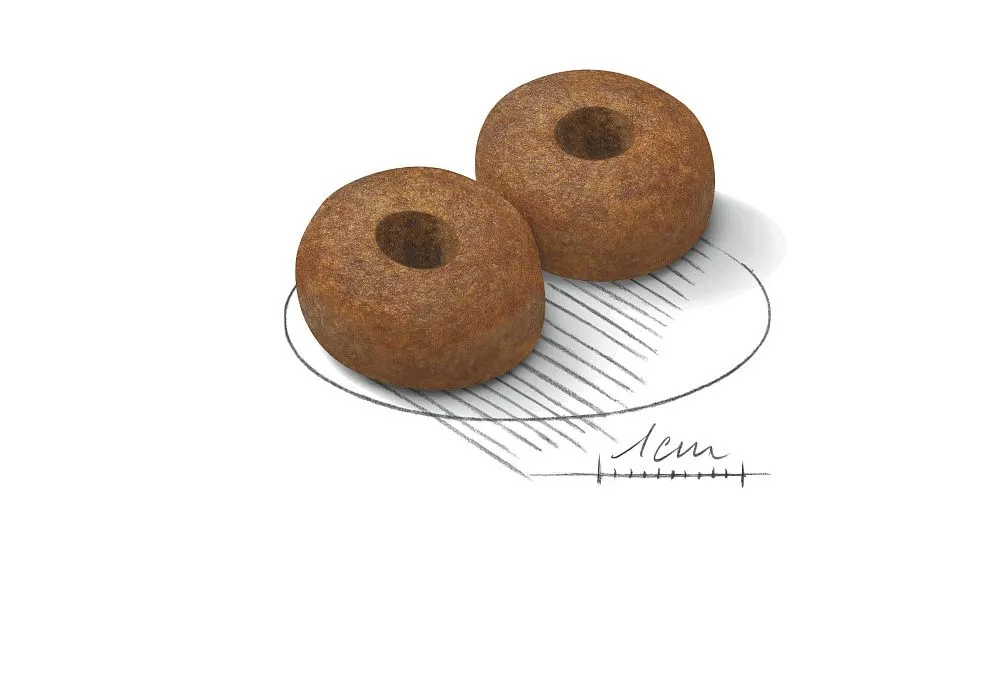 Корм Royal Canin Maxi Ageing 8+ для крупных собак в возрасте 8 лет и старше