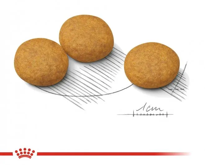 Корм Royal Canin Medium Dermacomfort для собак