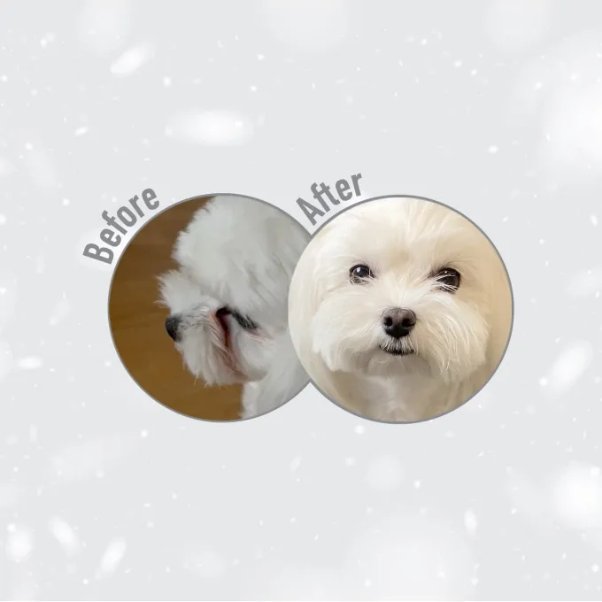 Nature's Protection White Dogs GF Superior Care All Breed (Насекомые)