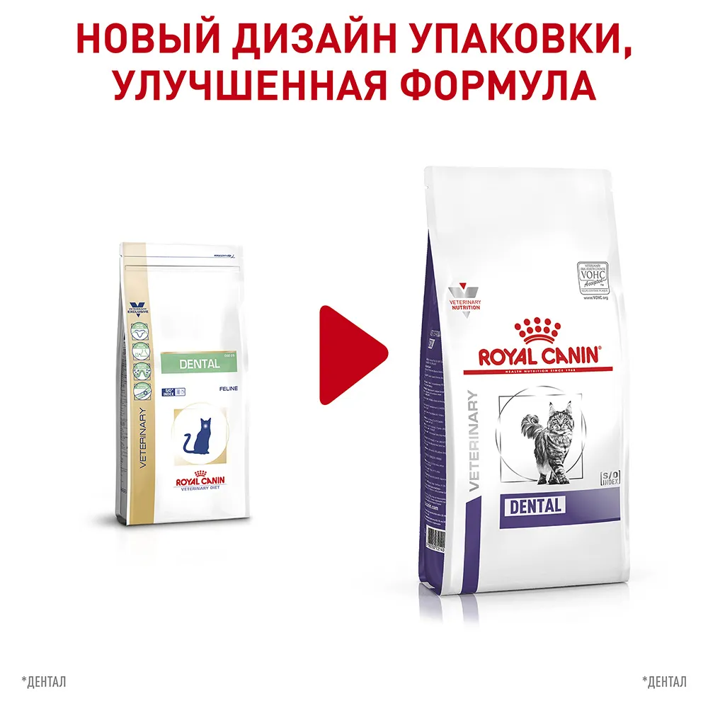 Royal Canin Dental Feline