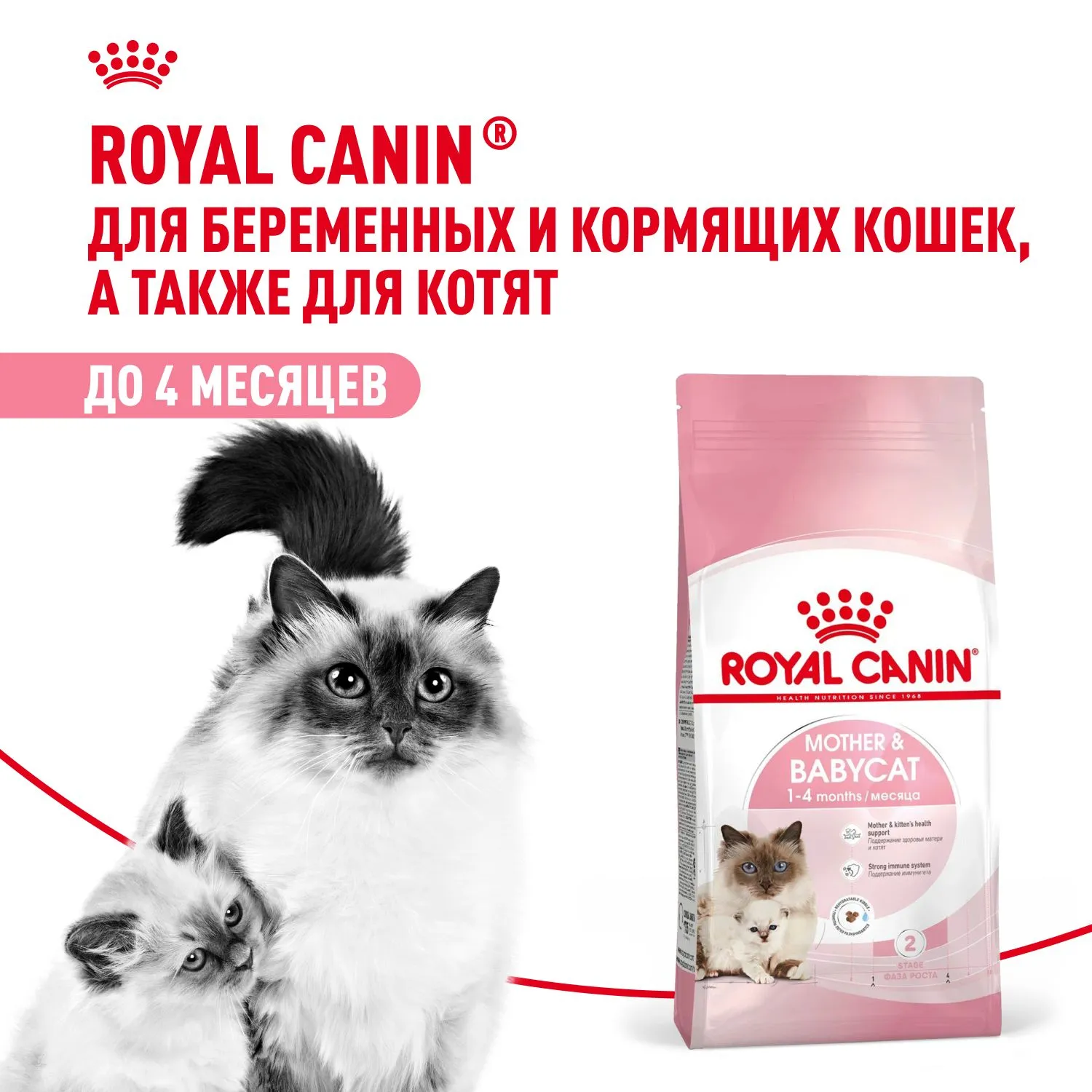 Royal Canin Mother & Babycat