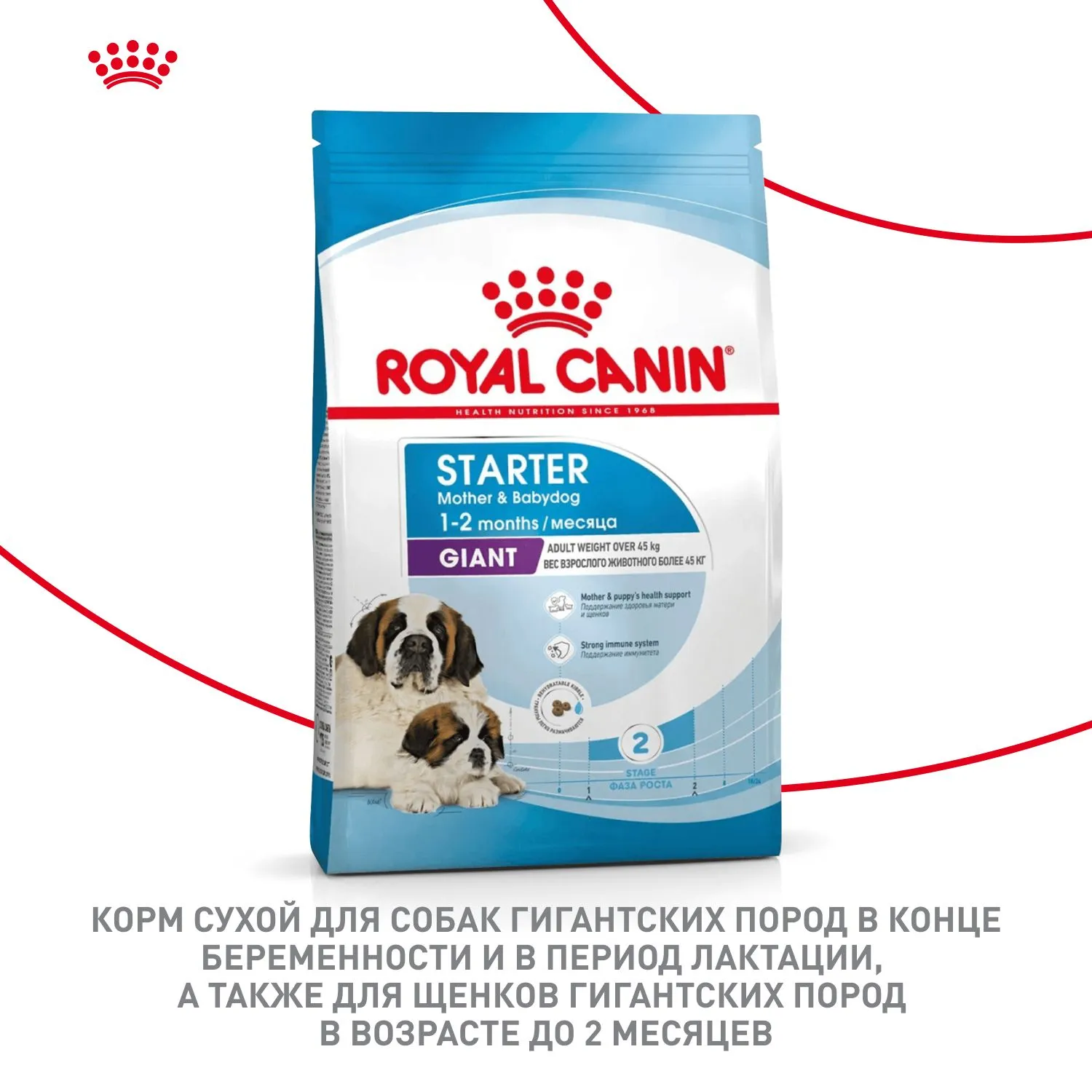 Royal Canin Giant Starter