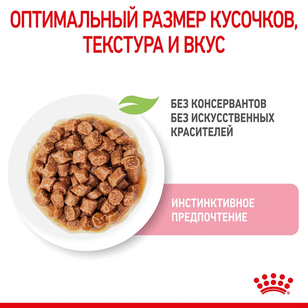 Royal Canin Kitten Sterilised (соус)