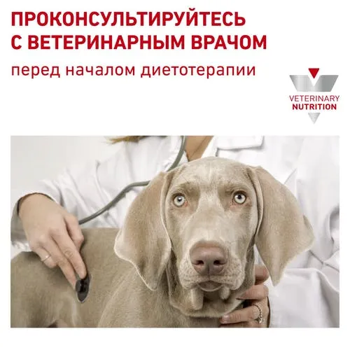 Royal Canin Early Renal Dog (в соусе)