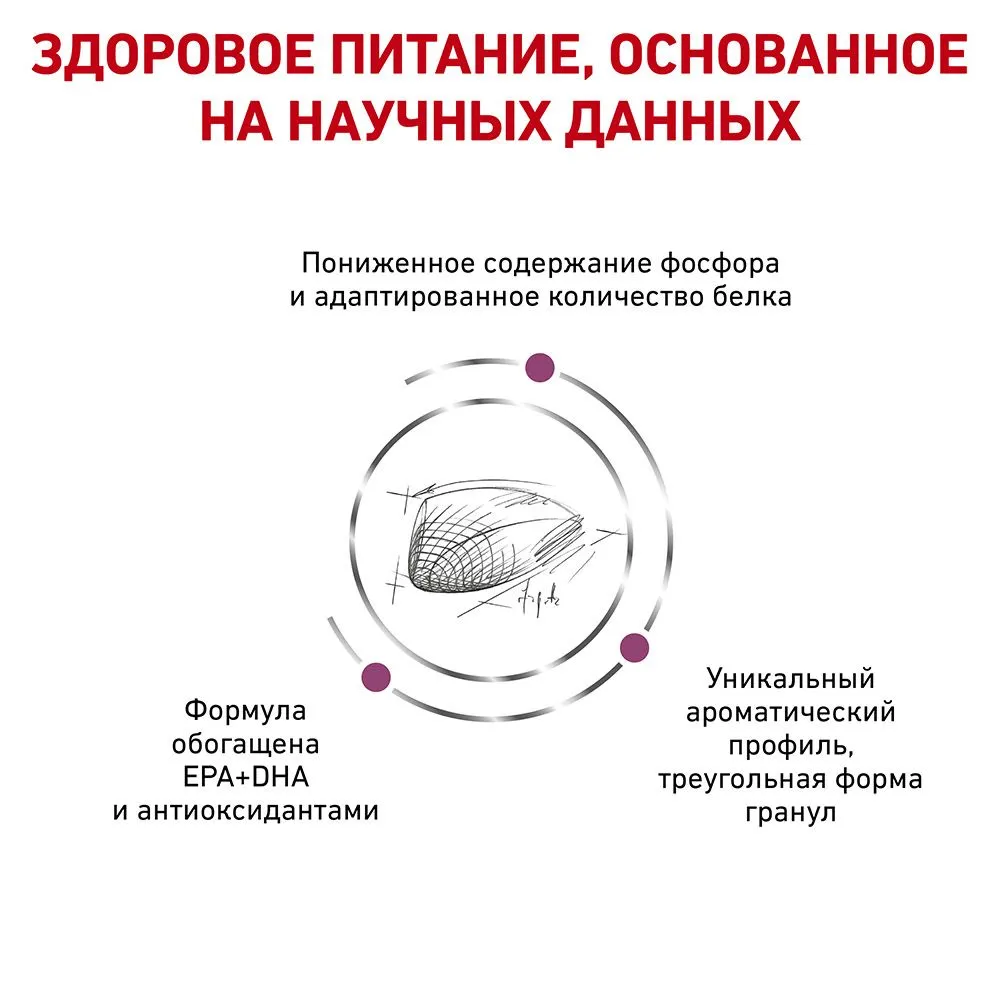 Royal Canin Renal Special Cat