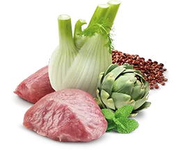 Консервы Farmina N&D Quinoa Digestion Cat (Ягненок, киноа)