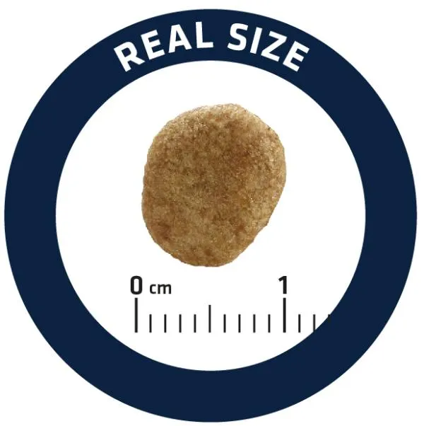 Advance Cat Adult (Курица и рис)