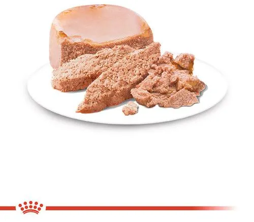 Royal Canin Starter Mother & Babydog (мусс)