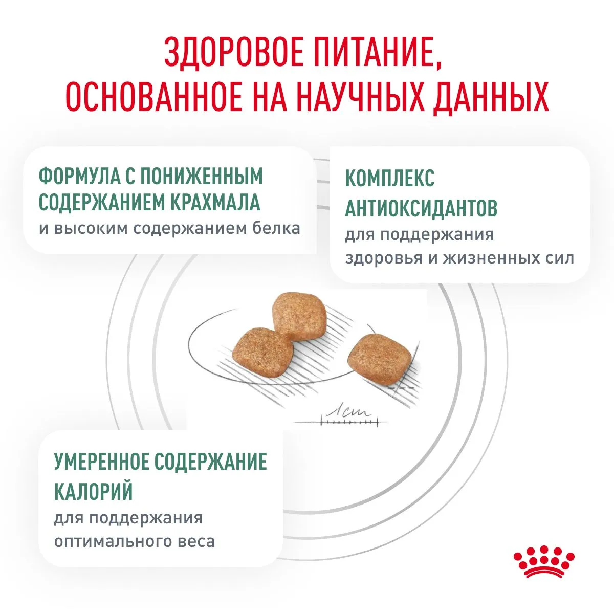 Royal Canin Diabetic Cat