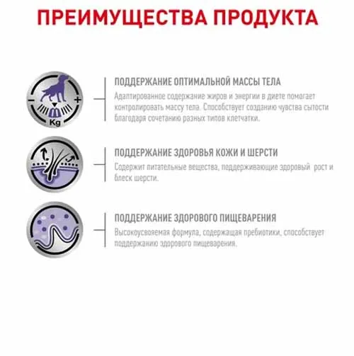 Royal Canin Neutered Adult Medium Dog