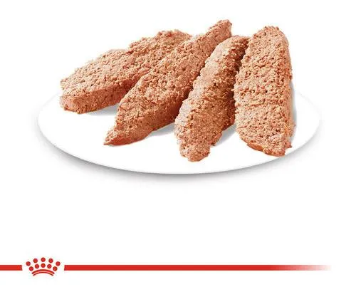 Royal Canin Dermacomfort Canine Adult (паштет)